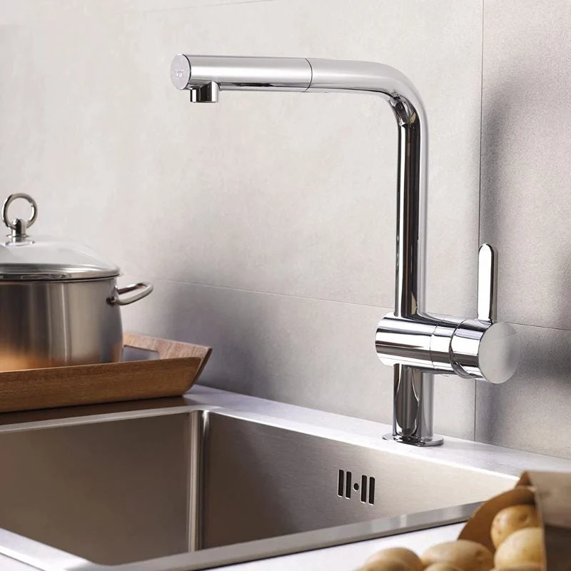 Filtration Professionnelle Mitigeur évier FLAIR GROHE 32454000 - bec haut - acier chromé