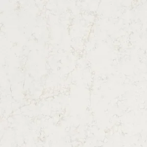 Purificateur d'eau Comptoir en quartz 2 cm - 3 cm LXHA Allegro SF 63 x 126 po