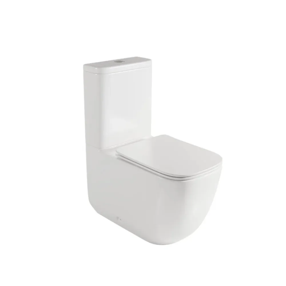 Résistant à la Corrosion WC avec chasse d'eau Zen