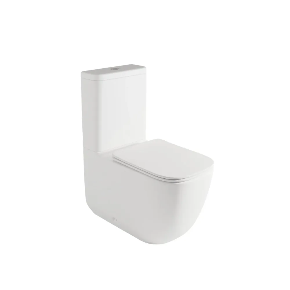 Résistant à la Corrosion WC avec chasse d'eau Zen