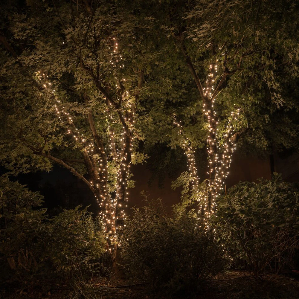 Guirlande lumineuse Twinkly RGBW, 250-fl. 20m voir à travers pour allée et terrasse