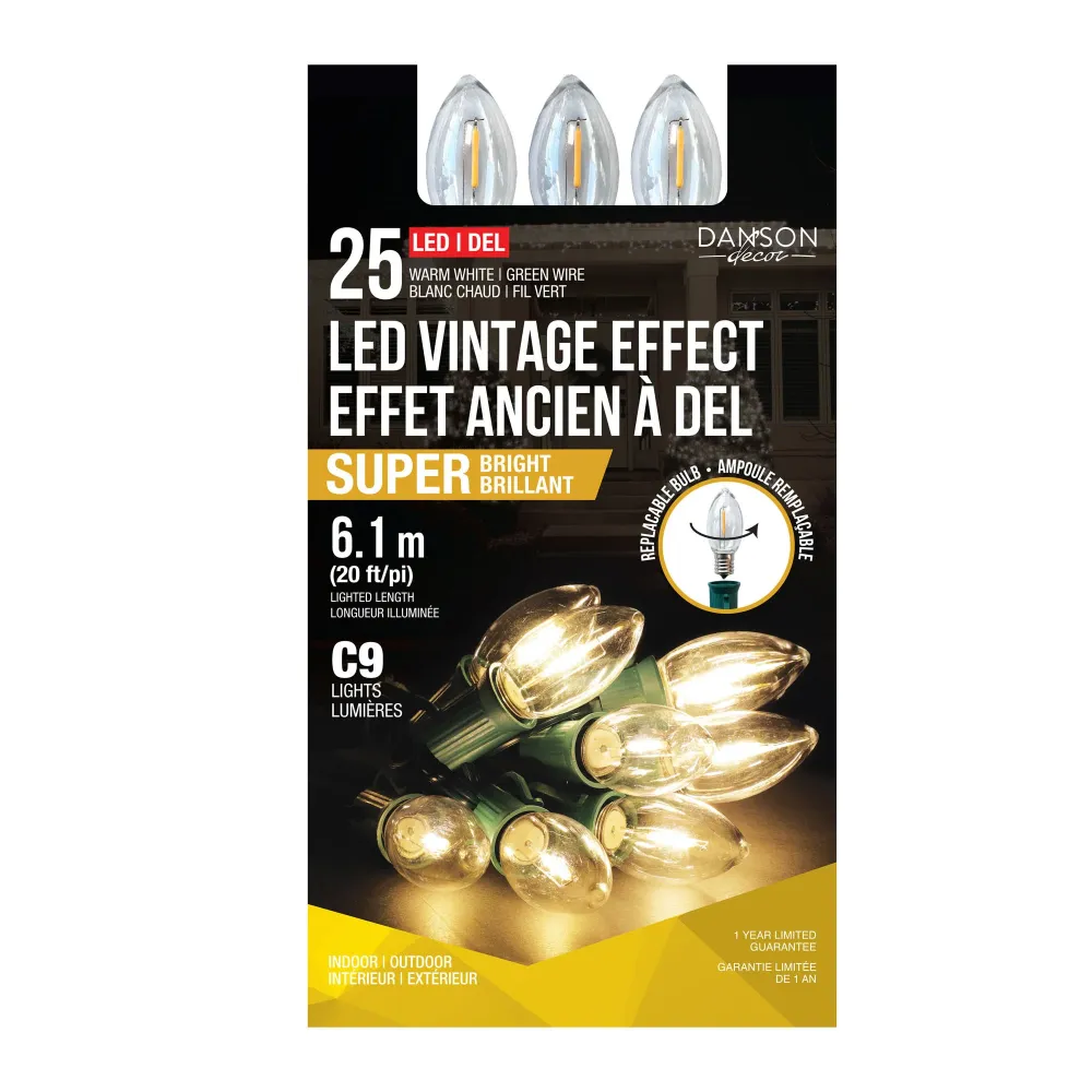 Spot encastrable Guirlande de 25 lumières DEL C9 brillantes au look rétro sur fil vert de 20' (6,1 m), blanc ardent