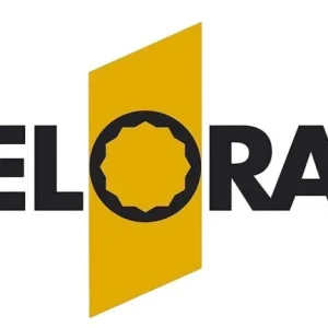 ELORA Kit de réparation 1/2 " pour cliquet de changement de levier avec verrouillage 770-LE1K 0770000852000 magas...