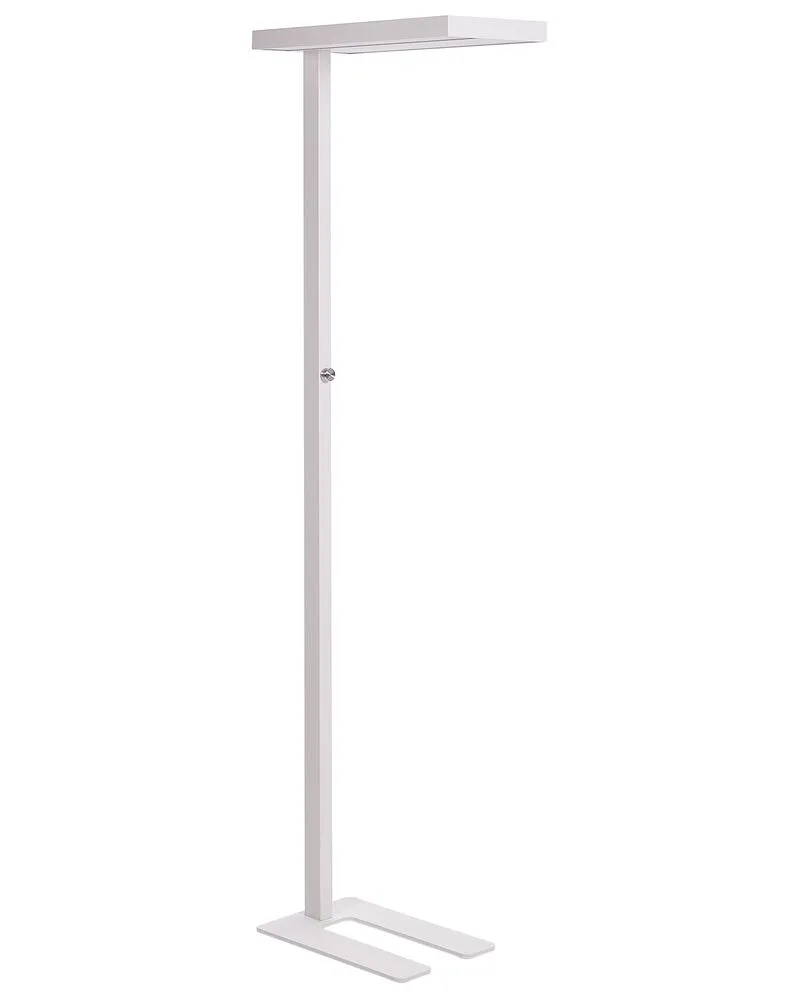 Metal LED Office Floor Lamp Blanc pur TAURUS pour salon et chambre