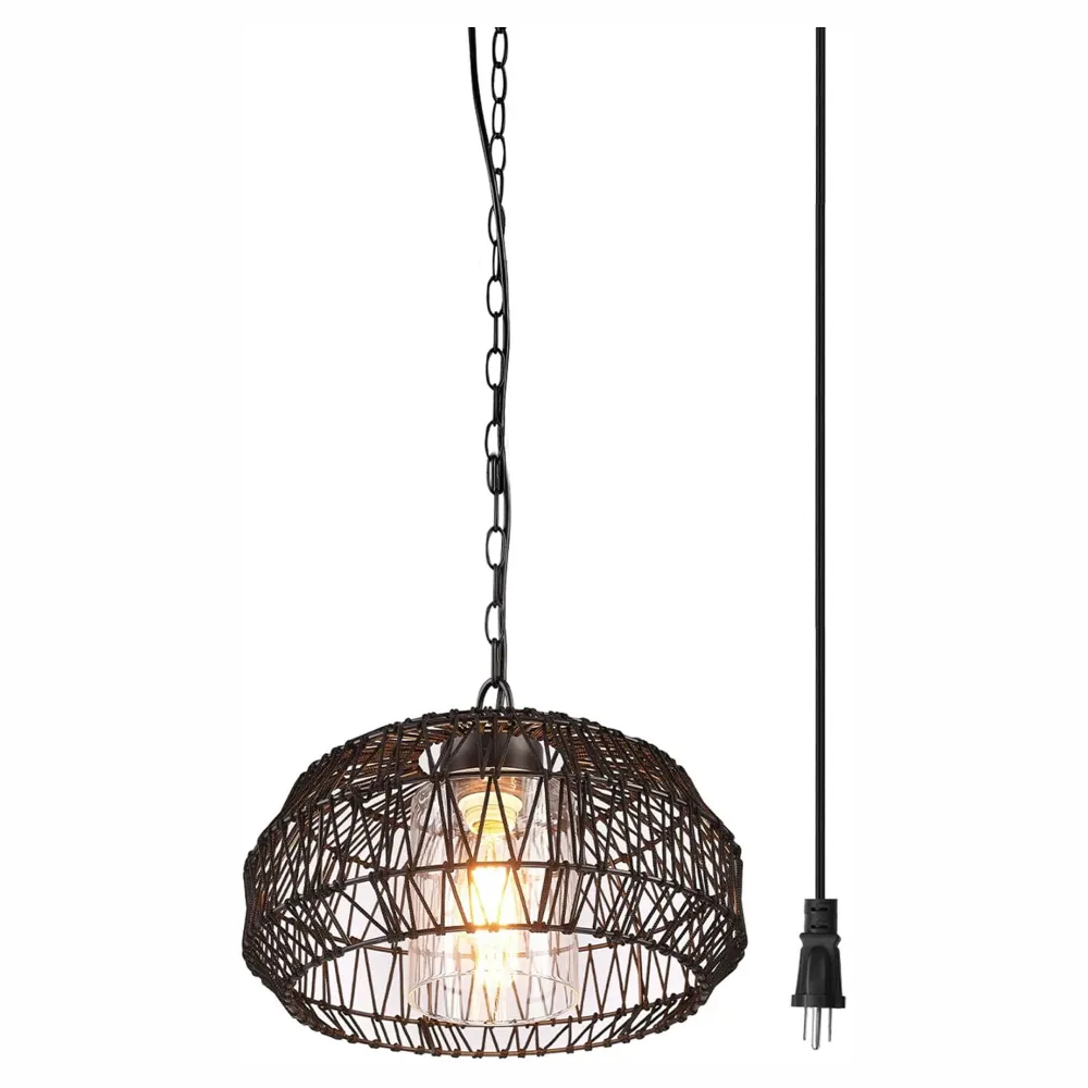 Luminaire suspendu enfichable Diego à 1 lumière, noir (pour l'intérieur et l'extérieur)