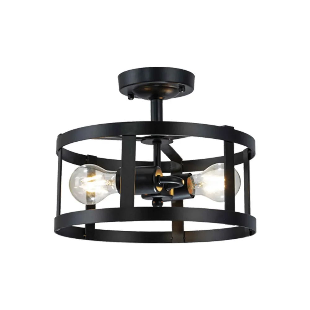 Luminaire à effet Plafonnier décoratif noir Preston à 2 lumières, 11,8" x 9,4"