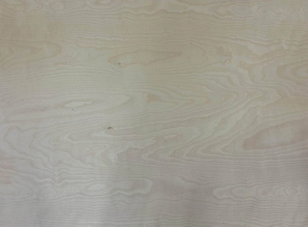 Contreplaqué bouleau âme peuplier - 2440 x 1220 x 10 mm (sans défaut)