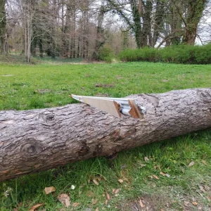 Moulures (bois)