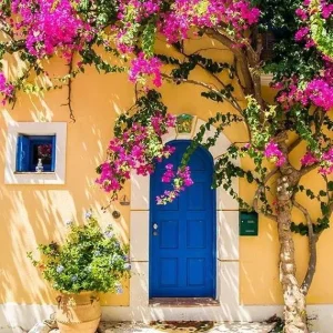 Toile de fond d'arbre de fleurs de porte bleue pour les photos G-671