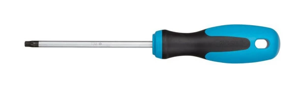 Tournevis Hazet profil intérieur TORX® T30 810-T30 se fournir à bas prix