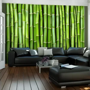 Papier peint intissé Orient Mur vert bambou : Taille - 300 x 231 cm
