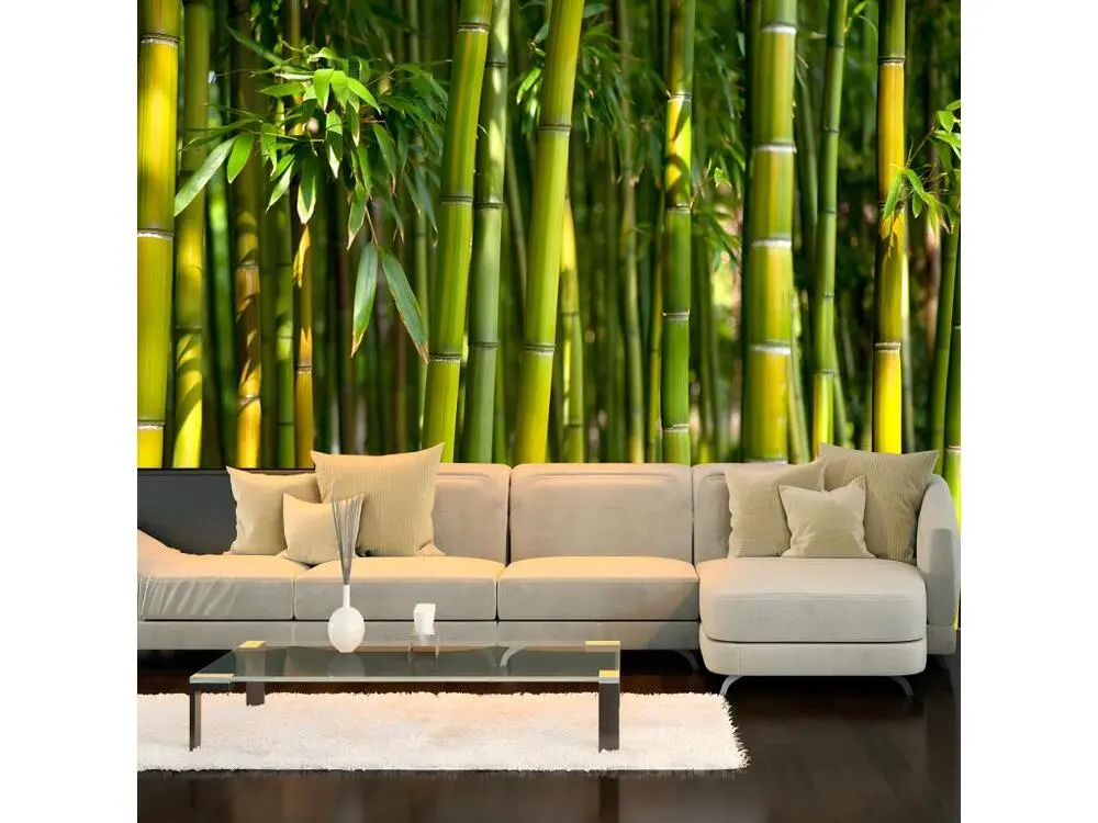 Papier peint intissé Orient Oriental Garden : Taille - 200 x 140 cm Motif Rayures