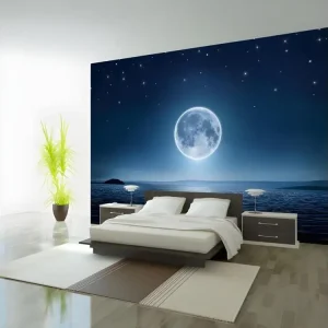 Papier peint intissé Paysages Moonlit night : Taille - 100 x 70 cm Motif Rayures