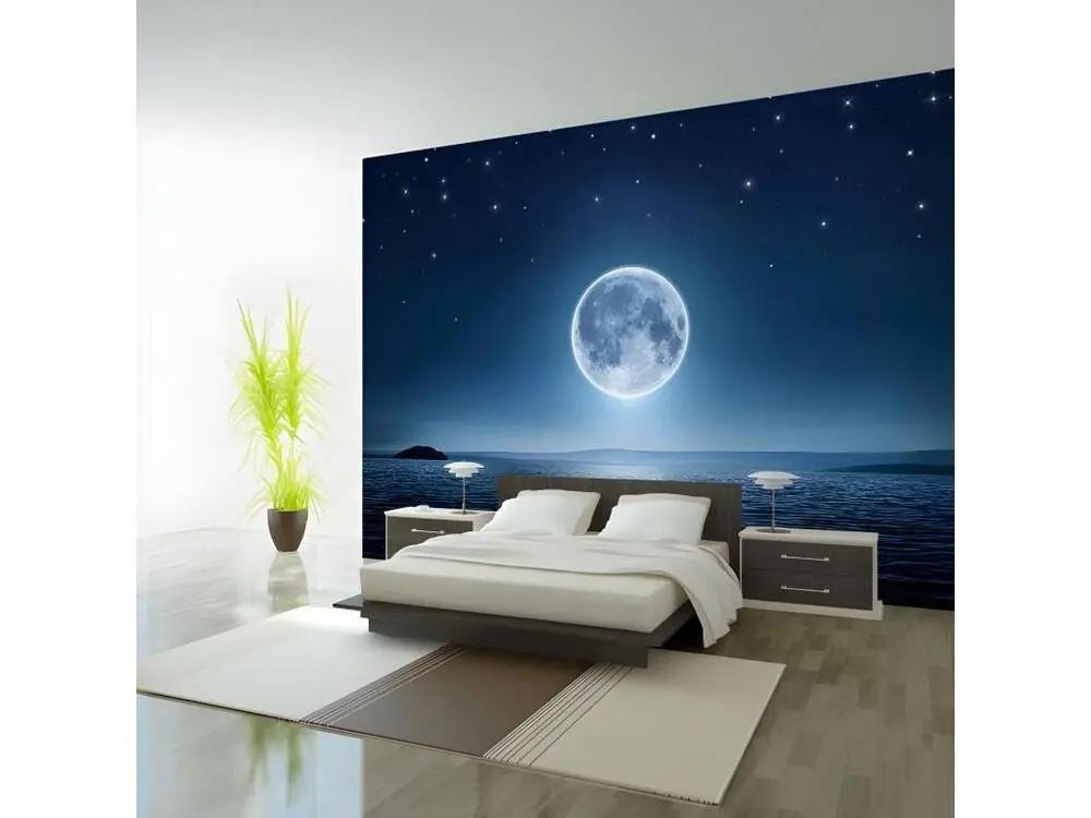 Papier peint intissé Paysages Moonlit night : Taille - 100 x 70 cm Motif Rayures