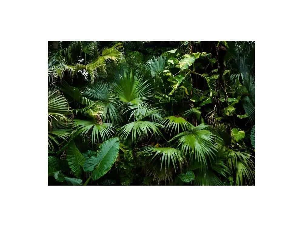 Papier peint intissé Paysages Sunny Jungle : Taille - 200 x 140 cm