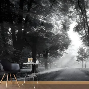 Pinceau à encoller Papier peint intissé Paysages Path Memories : Taille - 250 x 175 cm