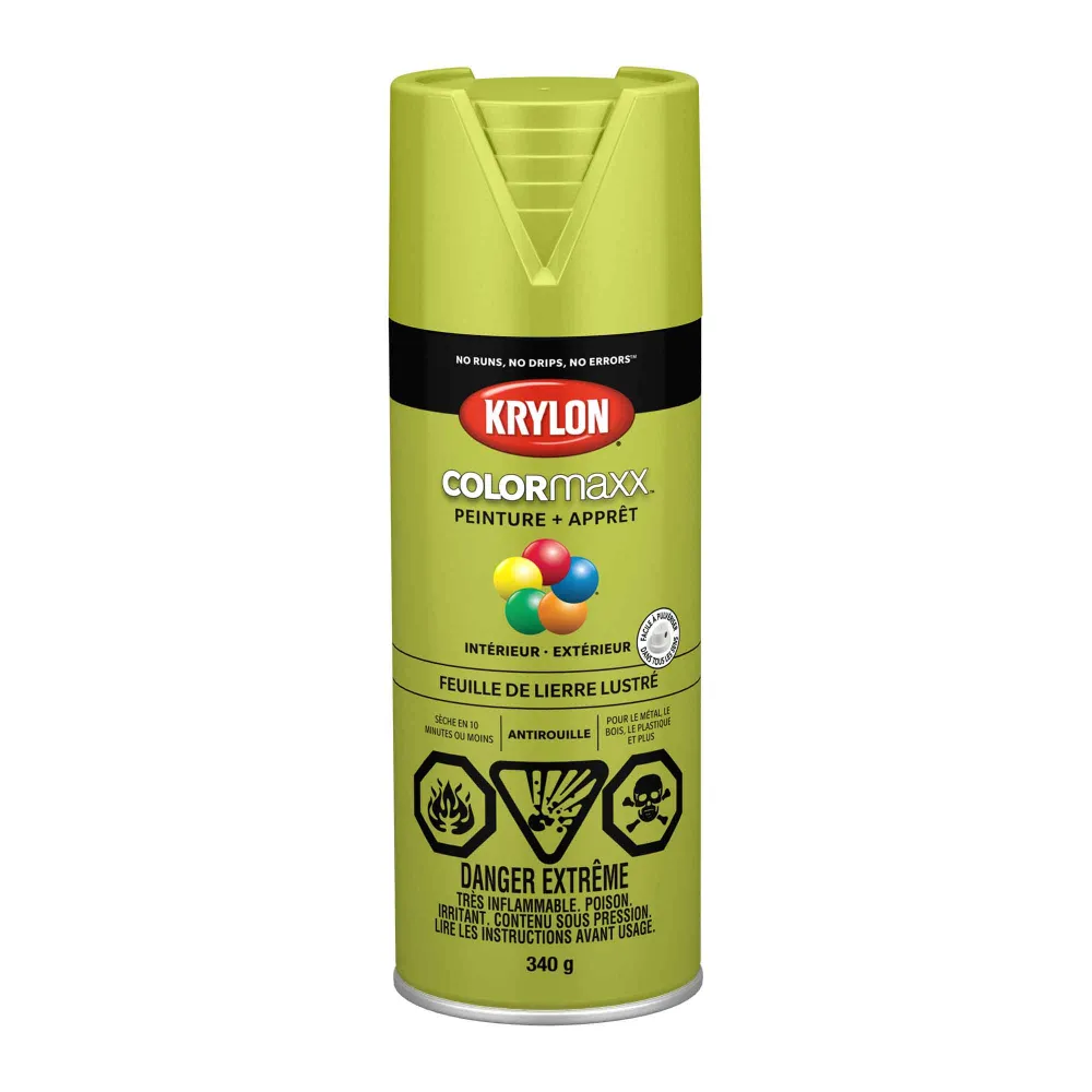 Krylon érosol COLORMAXX peinture + apprêt feuille de lierre lustré, 340 g couvrance optimale