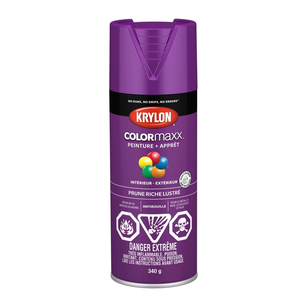 Peinture pour salle de bain Krylon érosol COLORMAXX peinture + apprêt prune riche lustré, 340 g