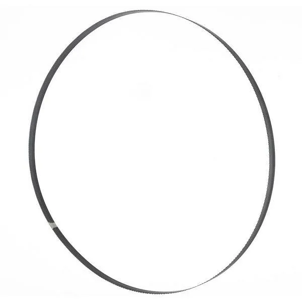 Lame de scie à ruban Holzmann 5616x20x07mm T 7mm BSB800B20 se procurer à bas prix