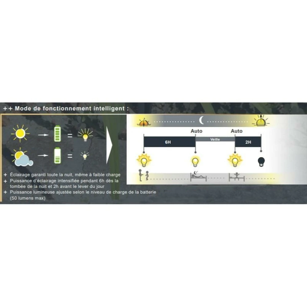 Projecteur solaire power spot noir 50 lumens intelligent 365 sélect Autonomie : 12 heures