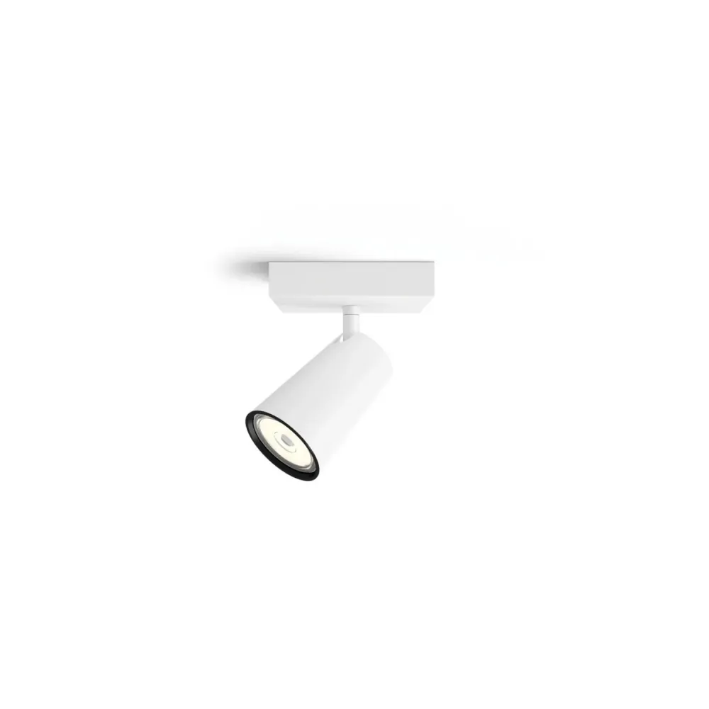 Professionnel Lampe de plafond PHILIPS Paisley avec un projecteur à LED