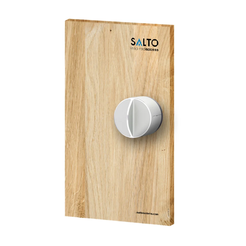 DANLOCK V3 SMART LOCK (COUVERCLE EN BOIS ÉVIDENT Classe de Protection S3