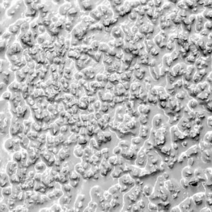 Revêtement antidérapant en résine époxy DENIOS grain extra fort gros gris évident 5kg 272161 choisir à bas prix