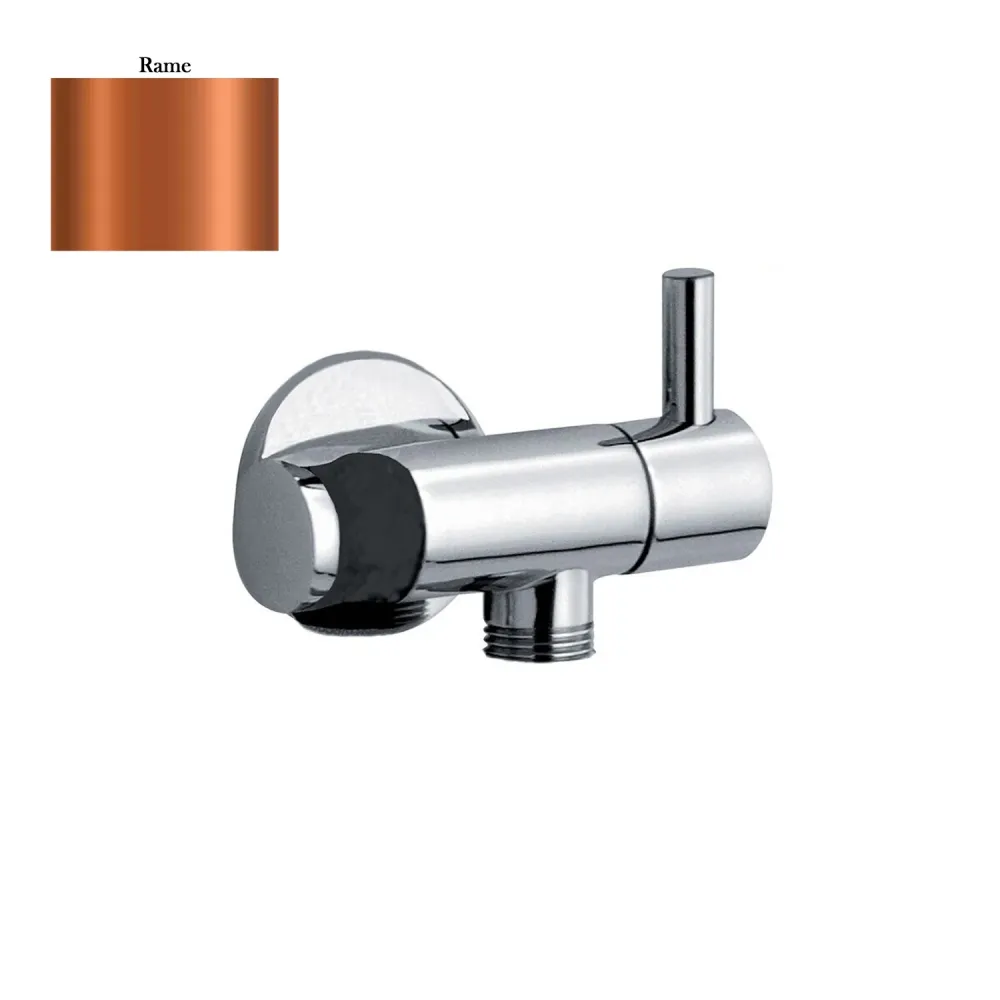 Robinet pour hydroscopine en laiton avec support douche eau froide cuivre