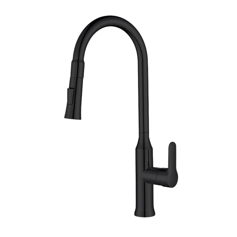 Étanche IP44 Robinet de cuisine noir mat