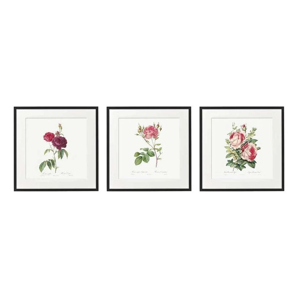 Cadre déco fleurs roses – Qualité & Prix chez Alpha55 – L’alliance parfaite entre style et utilité