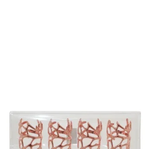 Kitchen Life Coral Napkin Holder Set 4 - Rose Doré