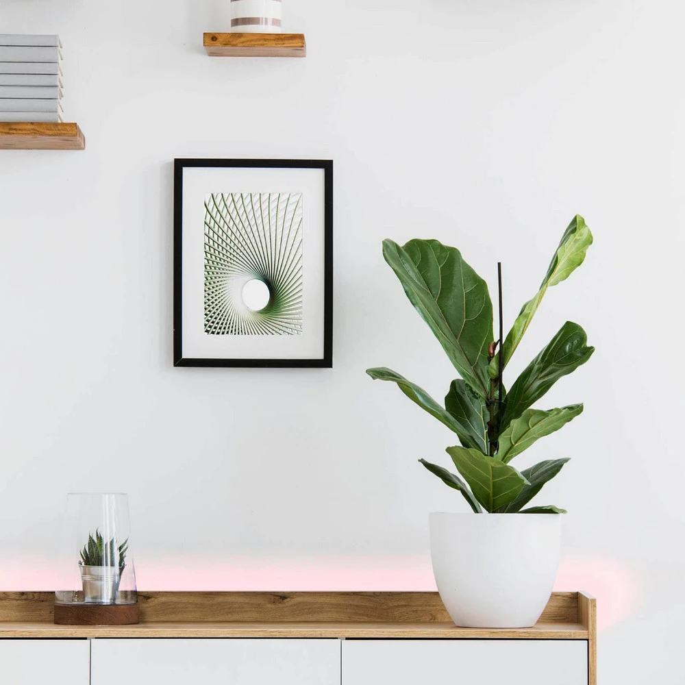 EGLO connect Stripe-C ruban LED RVBW 300 cm avec télécommande