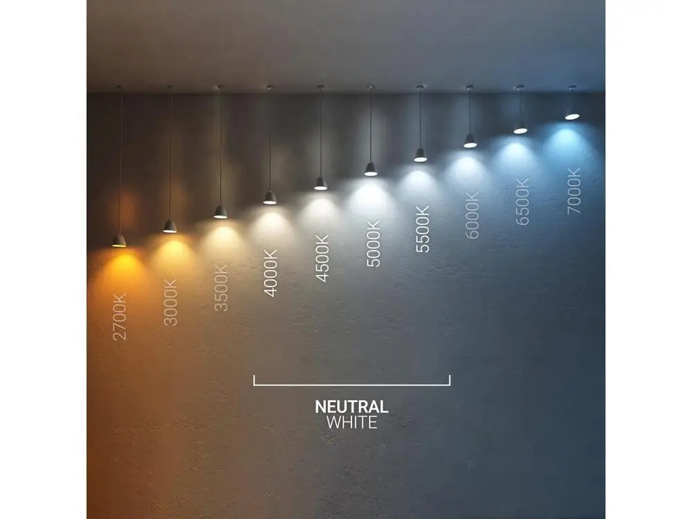 Lampe à lave Ampoule LED Filament E27 6W 720 lm G95 Blanc Neutre 4000K