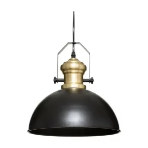 Luminaire Suspension en Métal Noir D 30.5 cm Sans outil d'installation