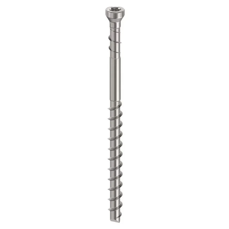 CAMO PROTECH boîte de 200 vis terrasse 4,2 x 60 MM