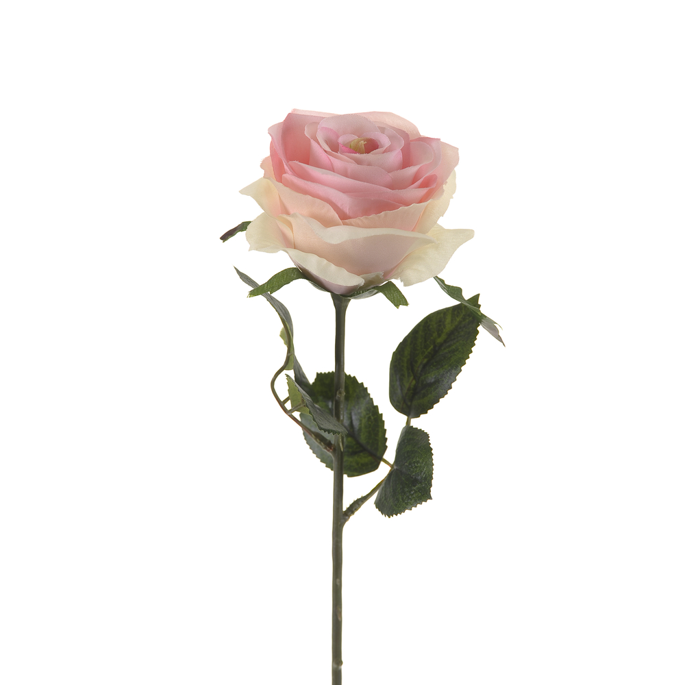 Joint de cuvette Tige rose simone, rose évident H. 45 cm Emerald