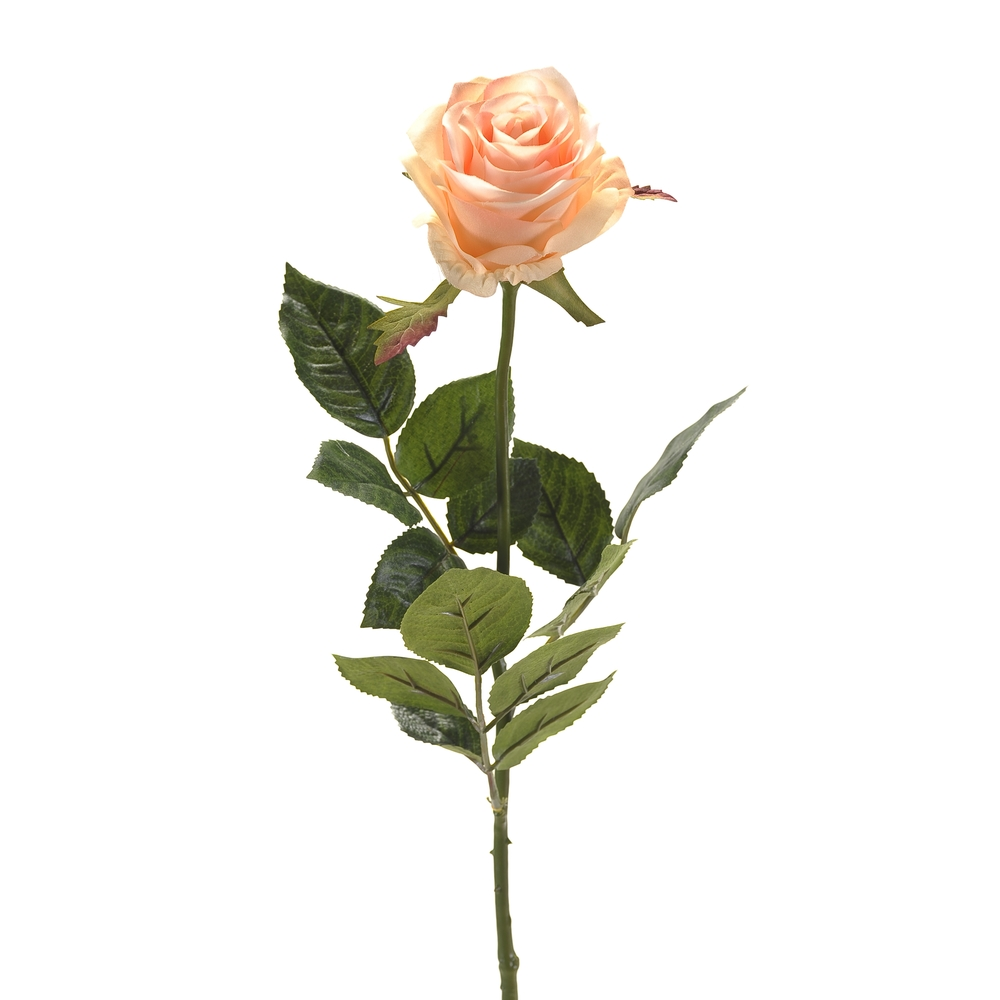 Raccord WC Tige rose simone, pêche H. 73 cm Emerald