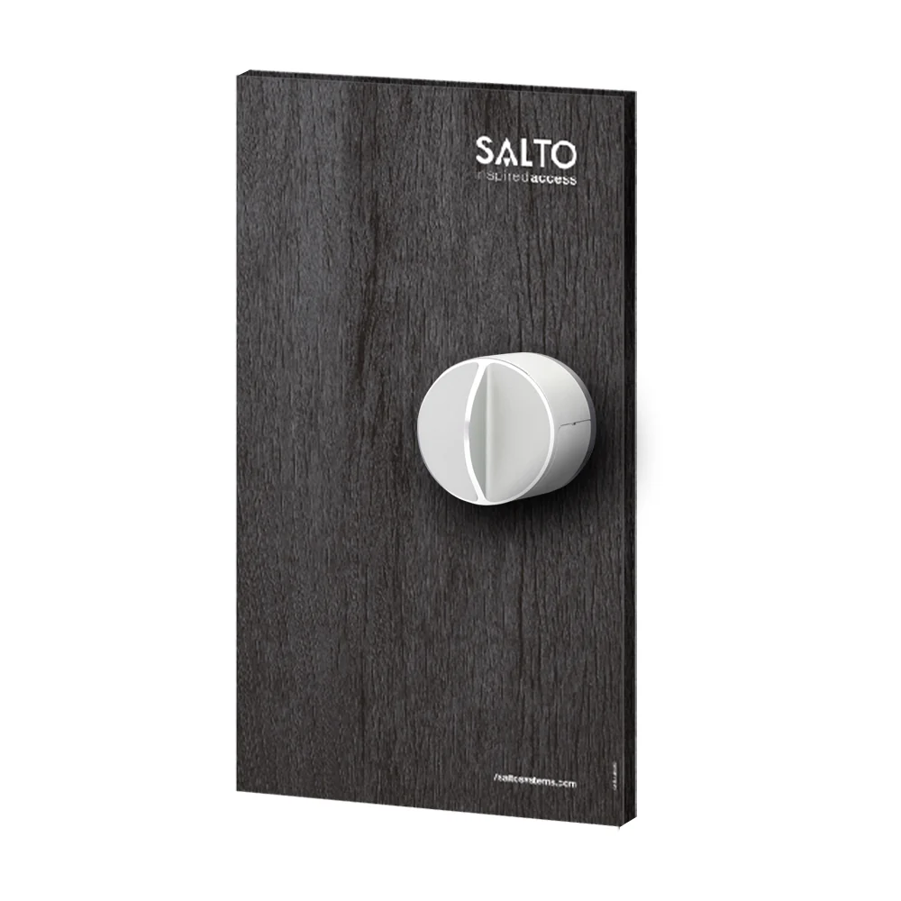 DANLOCK V3 SMART LOCK (COUVERCLE EN BOIS OBSCUR