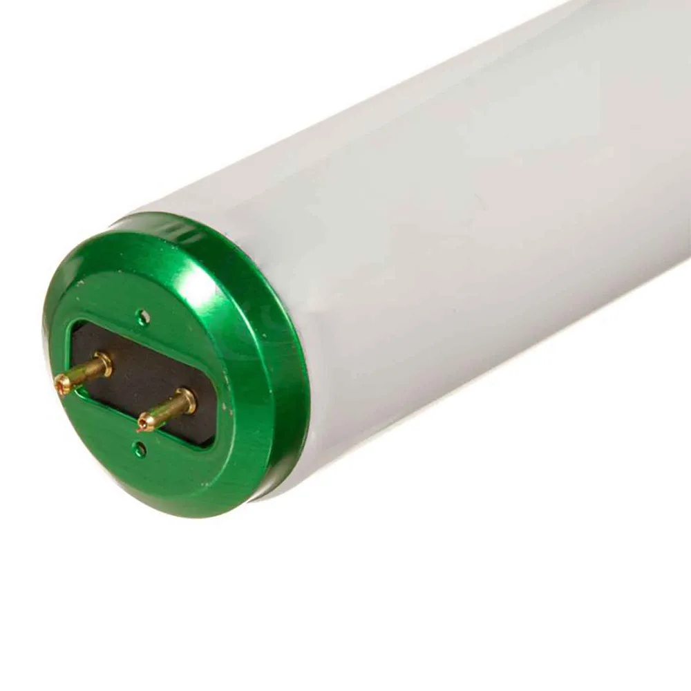 Tube fluorescent F34T12 blanc hivernal, 48" Résistant aux Chocs
