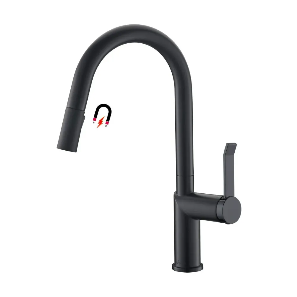 Robinet Mitigeur Evier APPASO Bec Haut Robinet de Cuisine Tendance avec Douchette 2 Jets Noir Mat